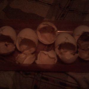 these are the eggs shells that my ducklings hatched from