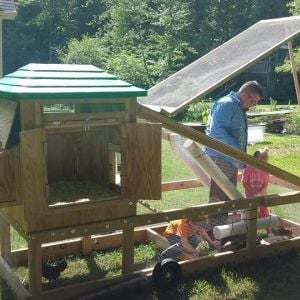 *
My home made coop, took me about a week to build working off/on on it. Found some pics online and just ran with those ideas for the tractor idea, the wheel idea was a genius idea i bought the plans for. the rest is just ideas i pulled from the net. I used about 320$in material, i found the roof, a kids sandbox cover in the trash. The hardware cloth and wheels were the pricey items , atleast half the budget. Then made a chicken waterer that holds a 1wk of water if needed and feeder  that holds same, made from sewer grade pvc (cheaper than regular pvc)