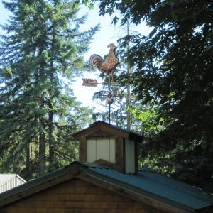 Cock a doodle doo! We originally built this little tool shed to support the cupola I needed for my Rooster weather vane. Honey saw no correlation between the two.