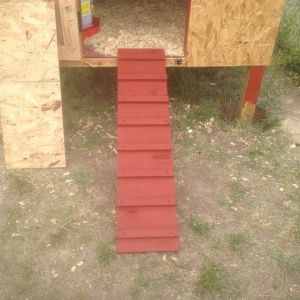 This the finished ramp.  It is a 1" x 12" board with 1" x 2" pieces of spaced evenly every 6".