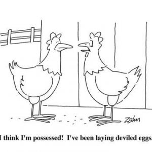 #humor #funny #lol #captions *