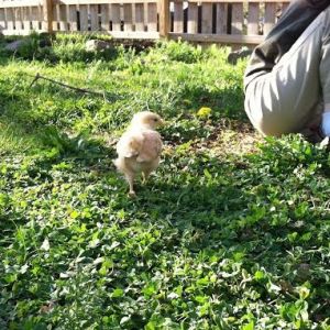 Day 23, saying hello to Rowan