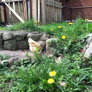 Day 32, on the stone steps