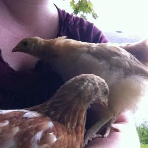 You've got something on your chest, let me get that for you