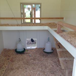We made our roosting poles the same height, as I heard ladder style roosts promote bickering about who gets the highest seats.  I also liked the idea of being able to attach the food/water under the poop boards.  So far, it is working extremely well.