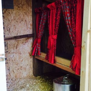 City chic curtains.  The hens have privacy and style for their nesting box.