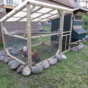 Here is the coop and attached run. The run has a 1' apron of chicken wire covered in stones. The chickens also free range around the yard when we're home to keep an eye on them.