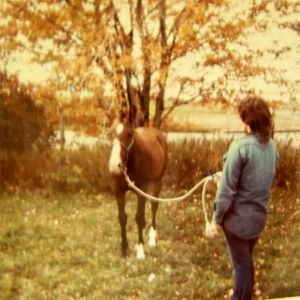 my April of  Secretariat blood lines  at  the TB  hunt club  mare &   foal show , April  at 7 months old ,& much younger then all the other male  entries  & she  won  the  blue  ribbon at  the  hunt  club  in  CT. .!