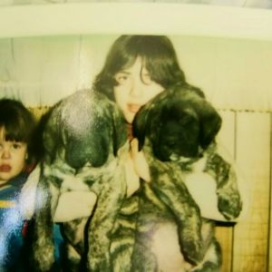 2 of our 8 week old 38 pound  mastiff pups  with my  children, in our dog world ad,  way back when ,both are my giant  girl bubbas  brothers,
