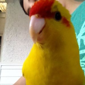 this is kiki