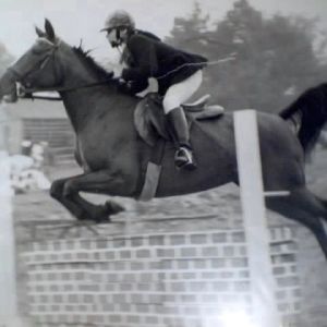 my  Arabian  ACABA at 12 years in  our hunter jumper show that  we had on our 350 acre  farm every year in  CT.  Acaba   lived to be 42 years old in perfect health, she never had a gray hair  & kept a perfect top line all her life..!  she had one foal, named  Yamen  when she was 8 or 9. when bred  to a world famous  Arabian  stallion , I  have pictures of them both mother  & son  some were..? and will post them when i find  them .