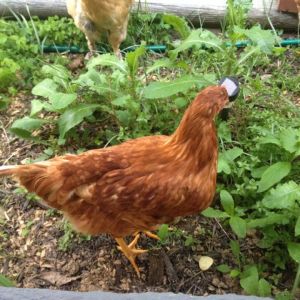 June is a little camera shy