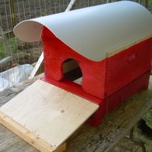 This is a recycled Bee hive deep super hinged to a screened bottom board to be used as a brooder box for our BEI's currently sitting on 5 eggs