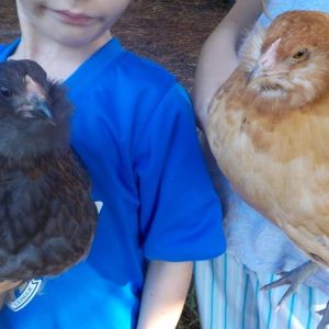 The EE girls together, 10 weeks