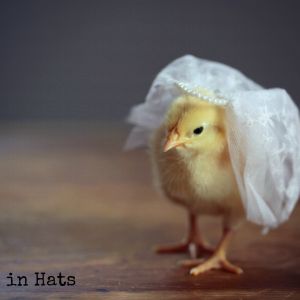 Chicks Hats.