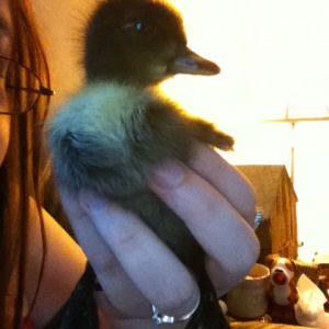 Special being cute again.