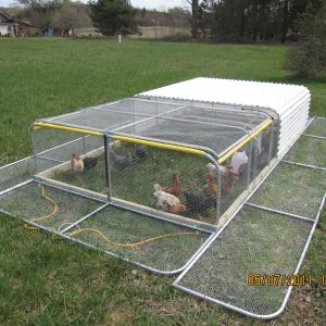 chicken tractor