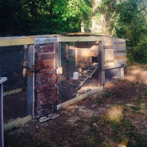 Our coop and yard completed