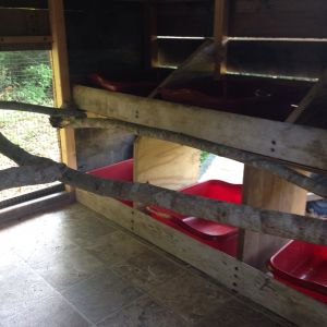 Inside I used dish pans and roll flooring for easy cleaning