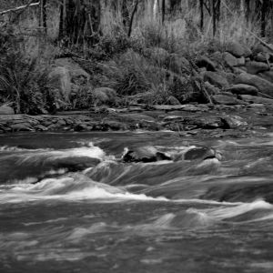 Mountain River. Huon valley Tasmania .