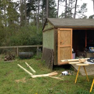 Coop/goat barn in progress