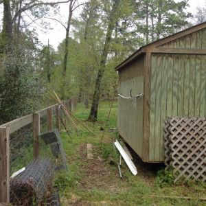 Coop/goat barn in progress