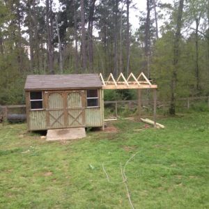 Coop/goat barn in progress