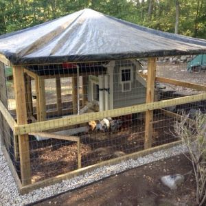 Hen house is completed