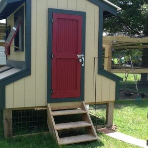 Our entrance.  There are 12  boxes for the hens accessible from outside the chicken run.