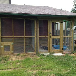 New 2 Room Duck Habitat/Aviary
Area previously used for chopped wood.