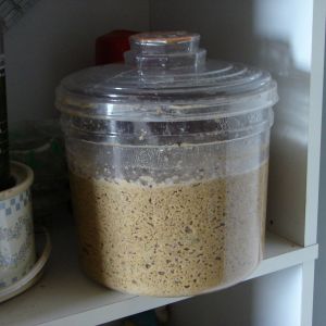 This is 2 to 3 days worth depending on how much they eat while free ranging.  Its fermented starter/grower crumbles.  I replace what i feed out every evening.  Instead of letting the container go nearly empty.  It is in the house because its a lot cooler only 90. That way the feed isn't over fermenting the way it would outside.