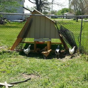 The girls checking out their new home!