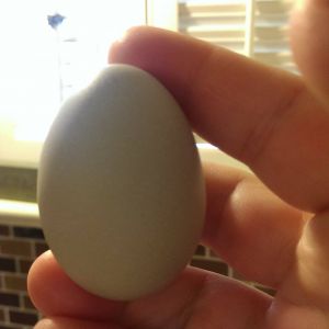 Our first egg, it is an olive color and was presented to us by our Americauna who I am learning is actually an Olive Egger :D  so exciting