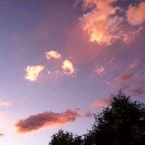 Pretty sky this summer