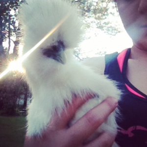 My baby! This silkie is my favorite and his name is Mr. Fluff lol