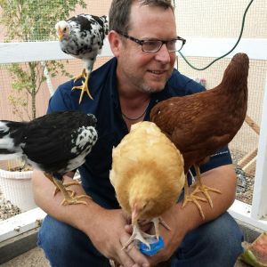 Husband and 4 of our girls. Clockwise starting next to his head. Checkers, Ginger, Fat Amy and Chip