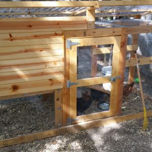 I get by with a little help from my friends.  Some very generous friends help me build this coop.  OK, well they mostly built it....but I helped!