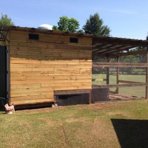 Exterior completed- chickens favorite area of the run is under the raised coop floor- beating the Louisiana heat!