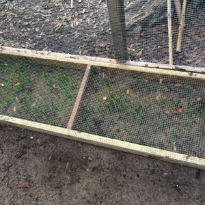 Treat bed in one of the coops