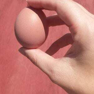 First egg 8/3/14