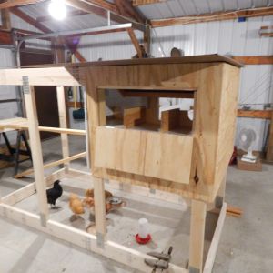 nesting box access
