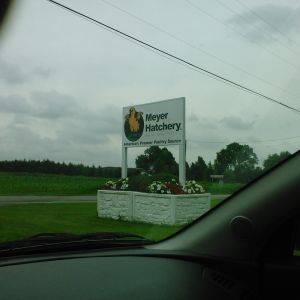 Ok Time to head home!
