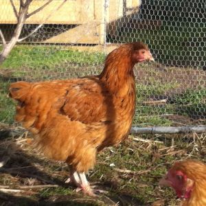 so laid back and placid,