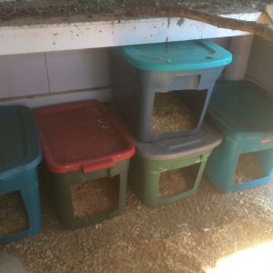 Temporary nesting boxes. More to come. I hope to make some pretty ones someday. : )
