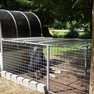 building the ramp into the coop