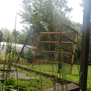 The old pin has been retrieved from the old coop, We are going to reuse it. Cutting some of the cost of the new coop. We didn't do much this past weekend due to the heat 90 degrees and a family function. I was going to move the girls in today but, I am not sure yet. It is a rainy day here, much needed rain!