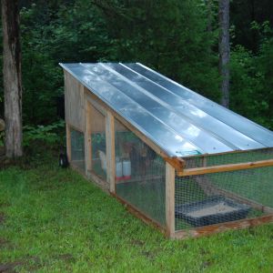 Tractor coop purchased off Craigslist...came with 6 chickens