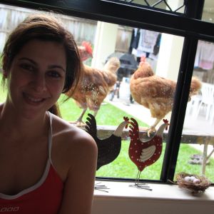 chickens and I through my bedroom window. 2014