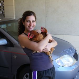 2 red chooks and I.