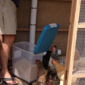 Restocking the feeder. Everybody's a supervisor on this job!